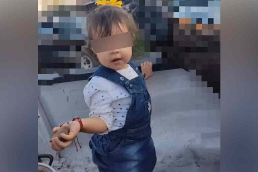 Niña de 2 años muere al comer galleta envenenada, que era para matar a su&nbsp;mascota.